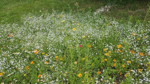 ARIS CiTYCOOL – Bild 2